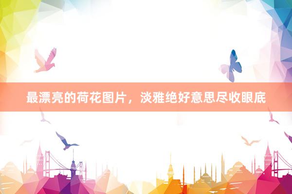 最漂亮的荷花图片，淡雅绝好意思尽收眼底